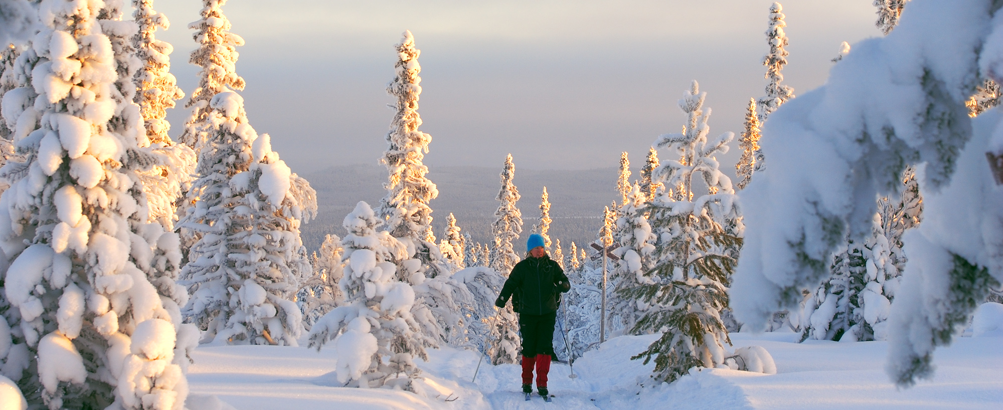 Att åka skidor i Olivehällsrundans skidspår, i Ottsjö, är en fjällupplevelse i världsklass i Södra Årefjällen.