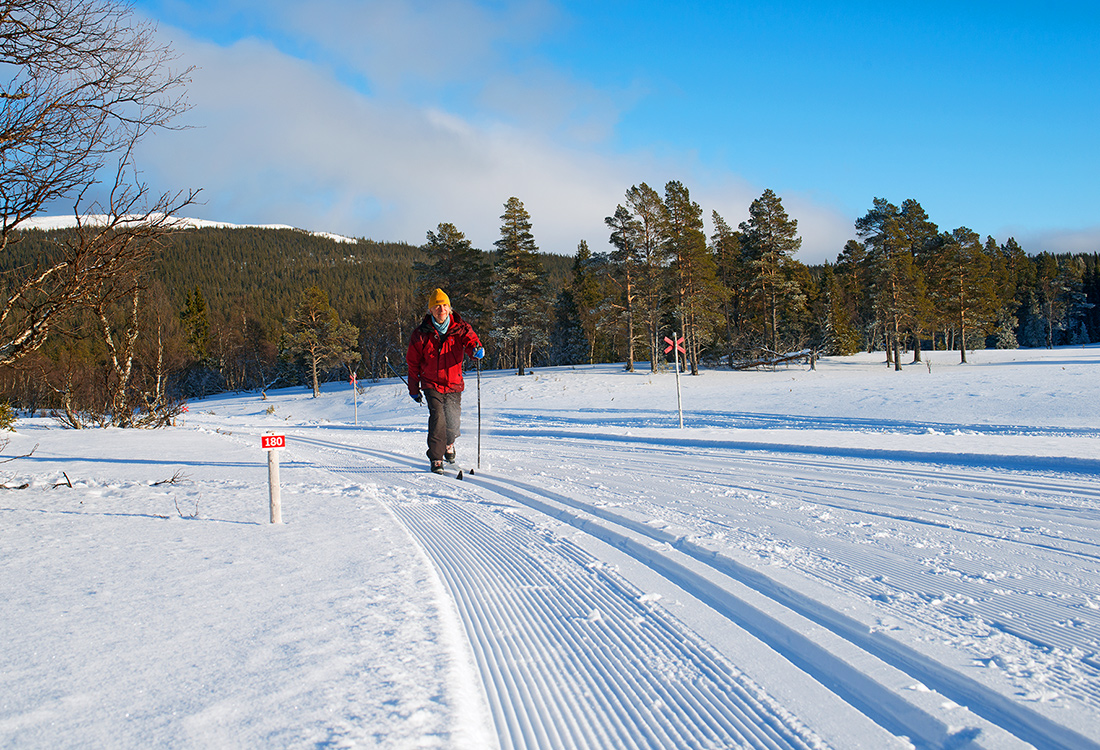 Skidspåret Våffelturen går i skogsterräng och delvis i Vålådalens naturreservat. En fjällupplevelse i världsklass i Södra Årefjällen.
