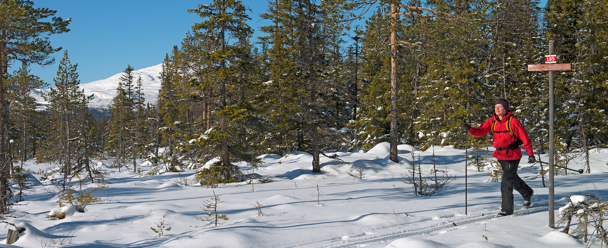 Vallbo milspår är ett av de smala skidspåren i Södra Årefjällen, men likafullt en fjällupplevelse i världsklass.