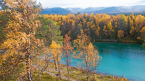 Blanktjärn – Undersåker