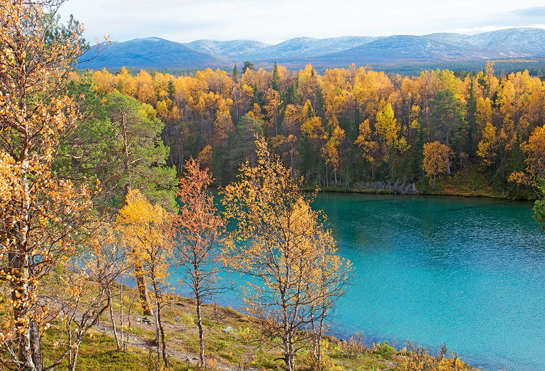 Blanktjärn, söder om Vålådalen, har turkost vatten. En fjällupplevelse i världsklass i Södra Årefjällen.