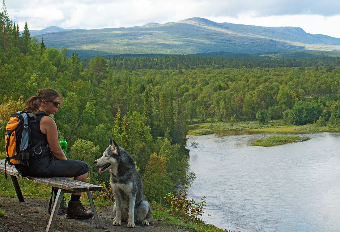 Kvinna och hund pausar vid Nipan, längs Blanktjärnsrundan. En fjällupplevelse i världsklass i Södra Årefjällen.