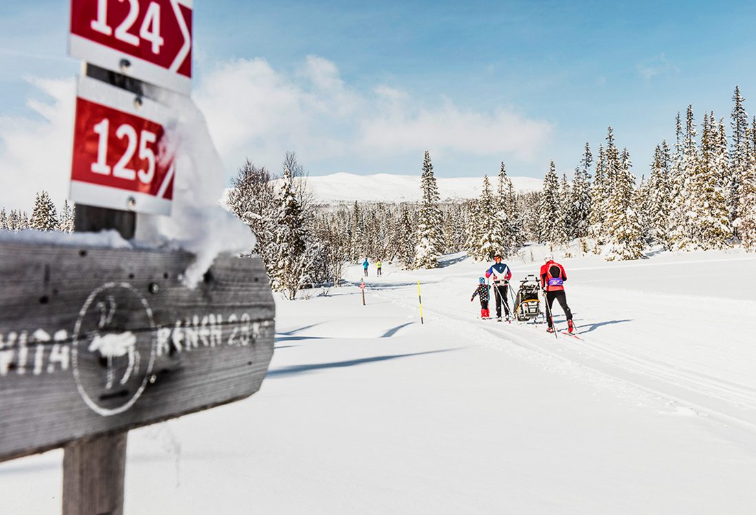 Att åka skidor i Väfjällsrundans fina skidspår, i Edsåsdalen, är en av fjällupplevelserna i världsklass i Södra Årefjällen.