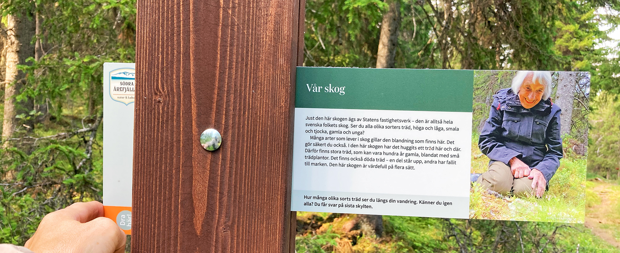 Längs Vallbo natur- & kulturstig finns vippskyltar med information. En fjällupplevelse i världsklass i Södra Årefjällen.