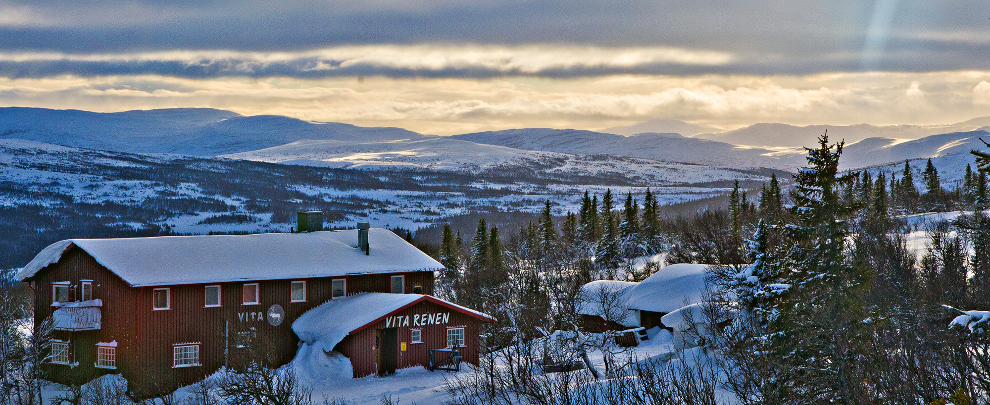 Att ta sig upp till Vita Renen, på Renfjället, är en av fjällupplevelserna i världsklass i Södra Årefjällen.