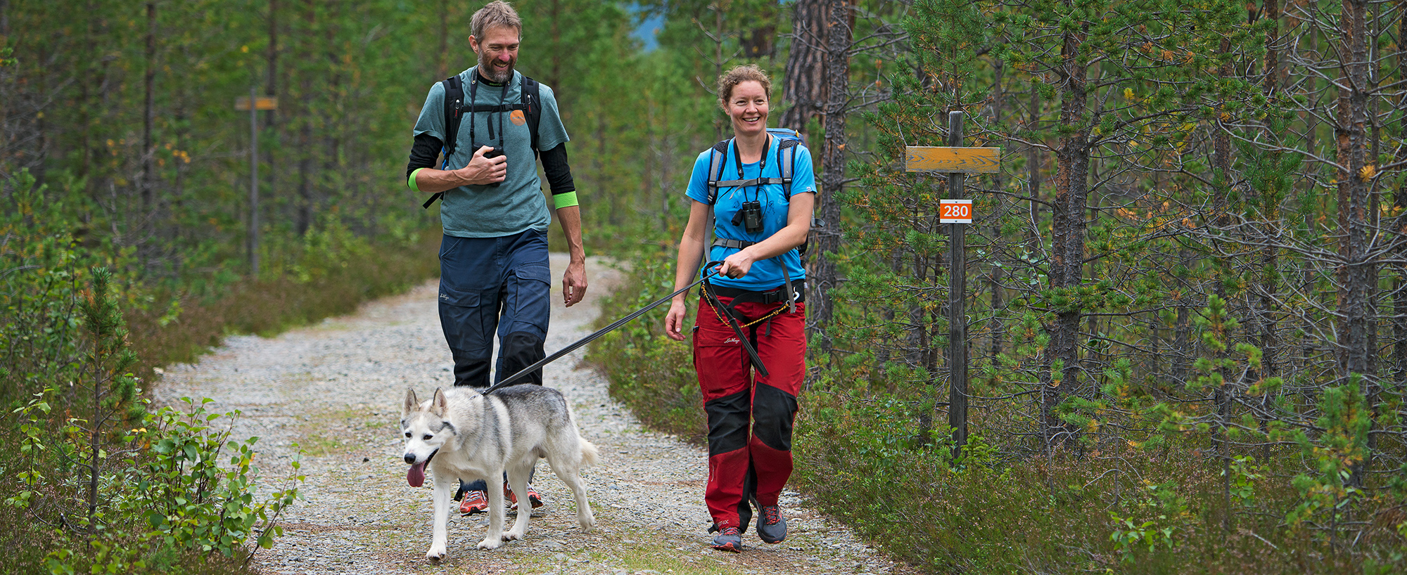 Vandring med hund längs Södra ridvadsrundan. En fjällupplevelse i världsklass i Södra Årefjällen.